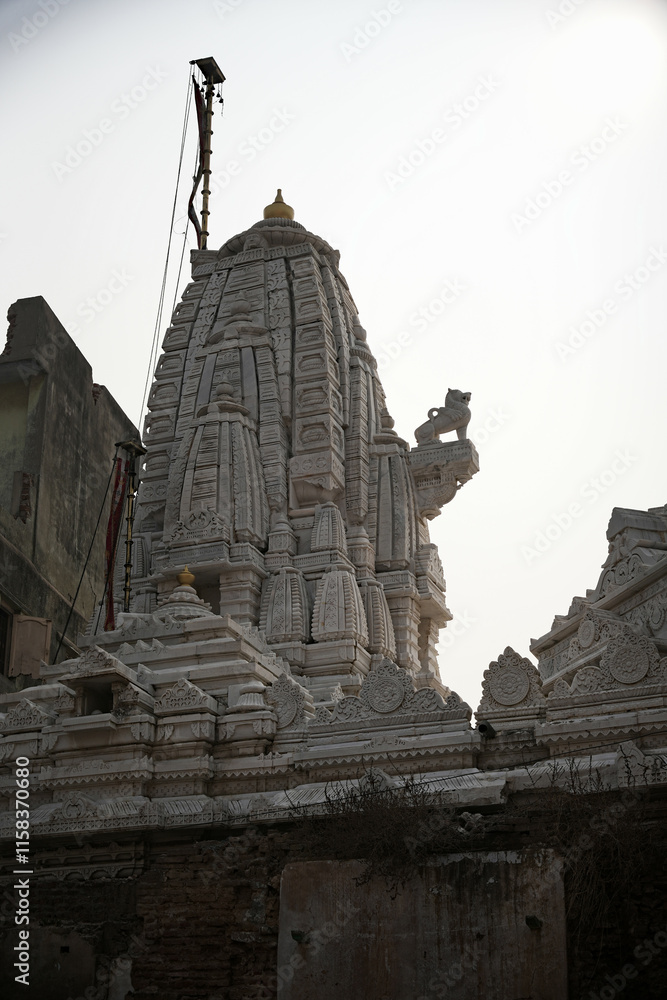 Naklejka premium A Spiritual Masterpiece: The Swaminarayan Temple in Ahmedabad
