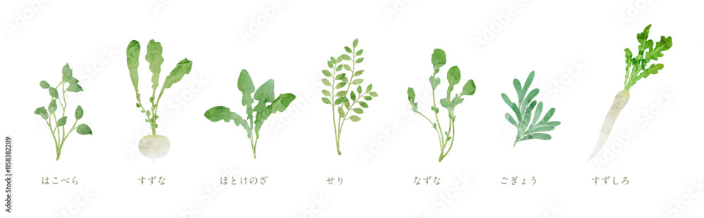 Naklejka premium 春の七草の水彩風イラスト 七草粥 手描き水彩イラスト