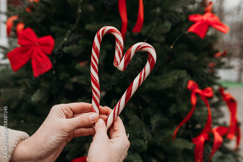 Candy canes in woman's hands against the Christmas tree background with red bows, festive mood photo