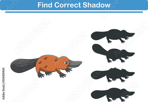 Funny cartoon platipus. find the correct shadow. Kids Education games. Cartoon vector illustration