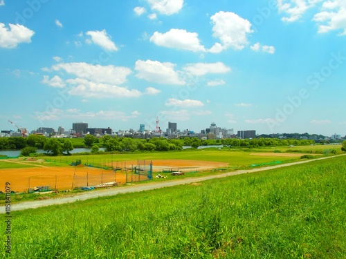 土手から見る初夏の平日の誰もいない野球場のある江戸川河川敷風景