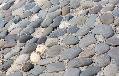 A rocky path with a few large rocks and some smaller ones photo