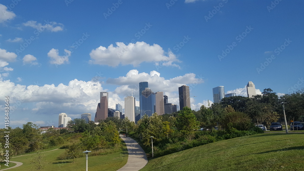 Fototapeta premium Houston City 