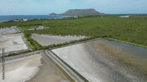 Aerial view of a saltern and mangroves in San Fernando de Monte Cristi on the north coast of the Dominican Republic with iconic limestone mountain El Morro in the background photo