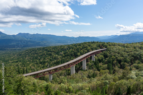 緑深橋から望む松見大橋の風景 photo