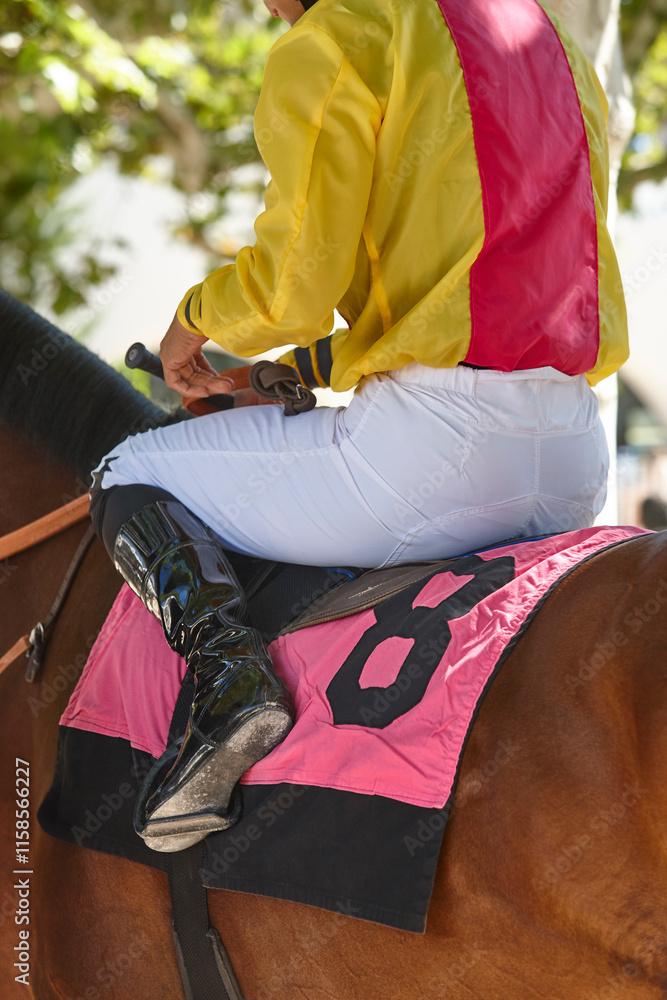 Race horse with jockey detail. Purebred in the hippodrome. Turf