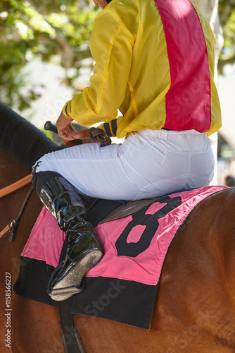 Obraz na płótnie Race horse with jockey detail. Purebred in the hippodrome. Turf w salonie