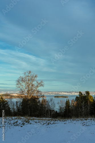 Lake Mjøsa and Hovinsholmen Island seen from the cultural landscape between Bilitt and Balke at Toten, Norway, in December 2024. photo