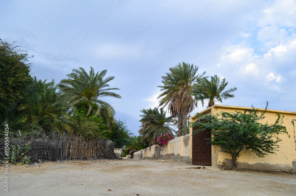 Obraz premium palm trees old building