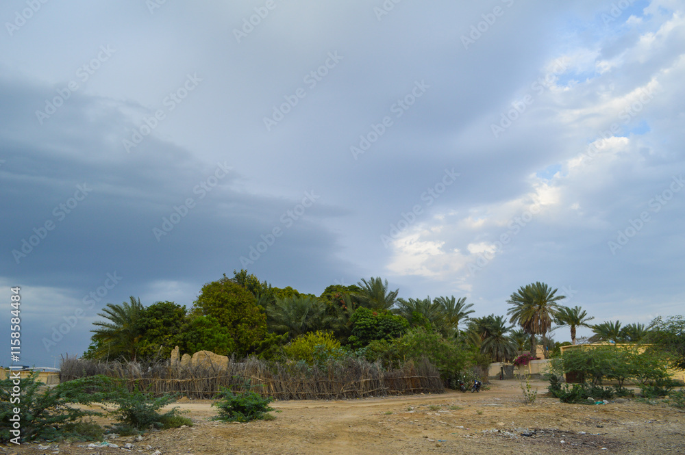 palm trees garden in the city Baluchistan, landscape nature cloudy sky palm trees garden in the city Baluchistan, landscape nature cloudy sky