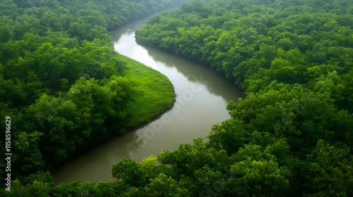 Serene river winding through lush green forest landscape