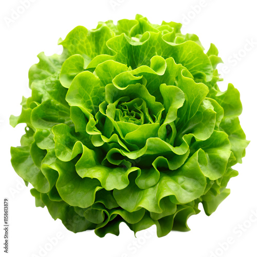 Green lettuce isolated on transparent background photo