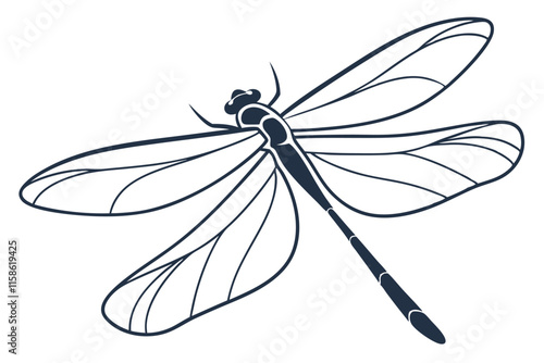 dragonfly on white background