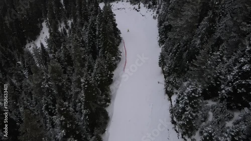 Ski-run In Forest 