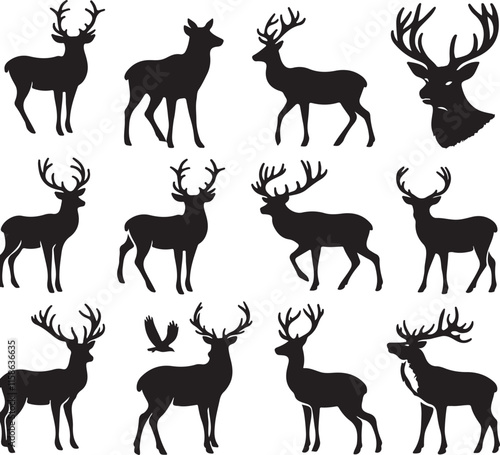 Elegant Deer Illustrations and Vector Art for Designers