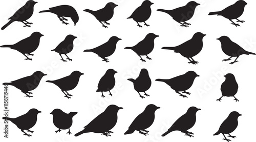 Thrush Silhouette Collection