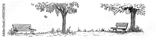 park benches under trees in a peaceful black sketch