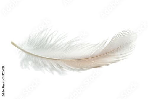 Soft white feather resting on a smooth surface illuminated by natural light photo