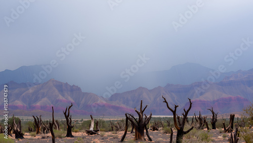 A thunderstorm drops sheets of rain in the mountains of Red Rock Canyon National Conservation Area, Nevada. In the foreground, burned stumps are evidence of recent wildfires. photo