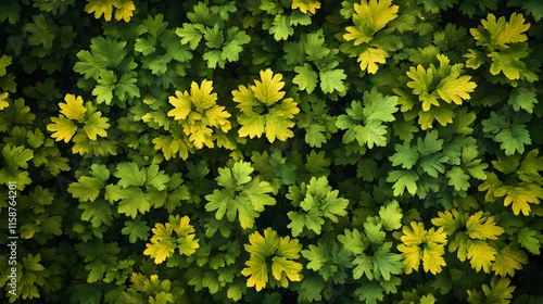 A vibrant background of yellow leaves with flowers and greenery in a colorful garden photo