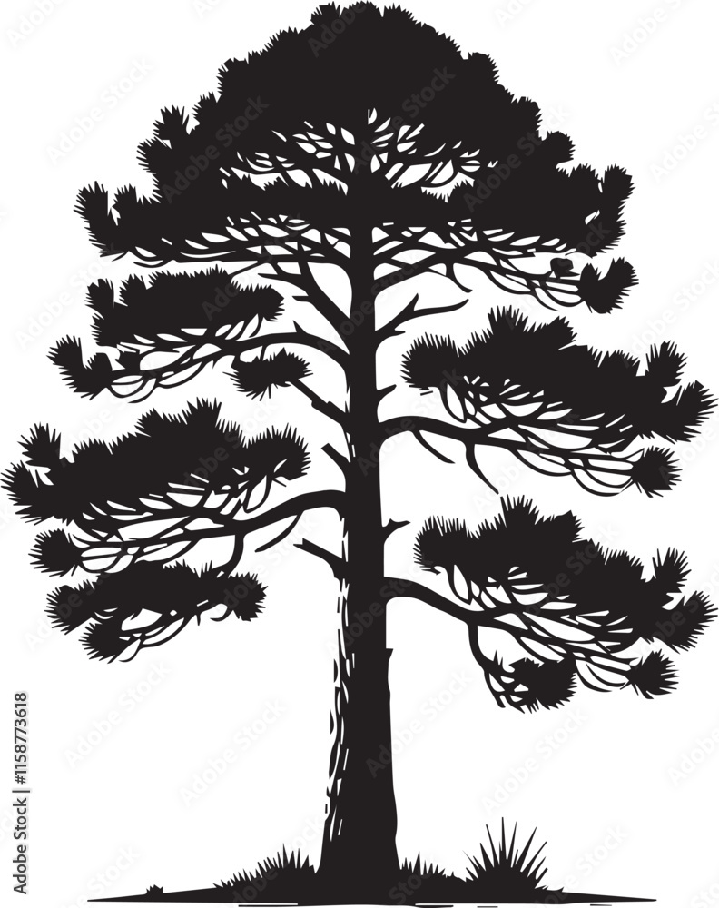 Fototapeta premium silhouette of a tree