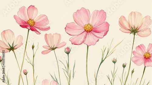 Wallpaper Mural Watercolor of pink cosmos flower isolated on white background,Collection cosmea flower and leaves,wildflowers seamless pattern,soft colorful blooming flower background. Torontodigital.ca
