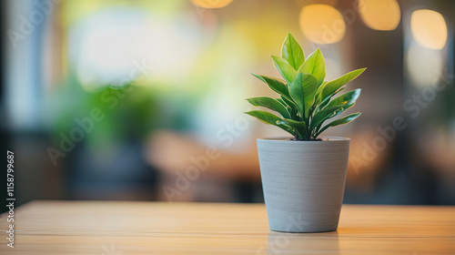 small green plant in gray pot on wooden table, creating serene atmosphere