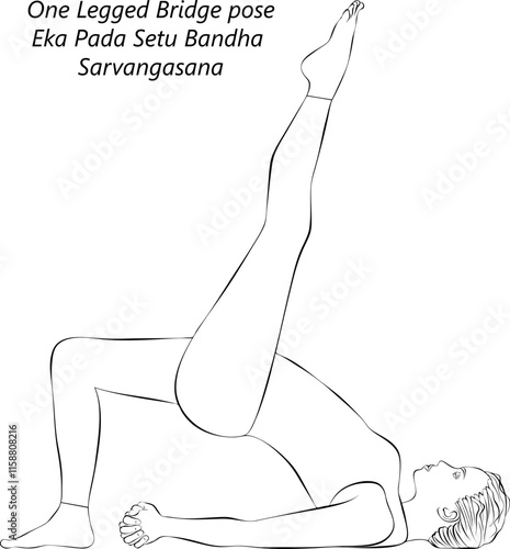 Sketch of young woman practicing Eka Pada Setu Bandha Sarvangasana yoga pose. One Legged Bridge pose.Isolated vector illustration.
