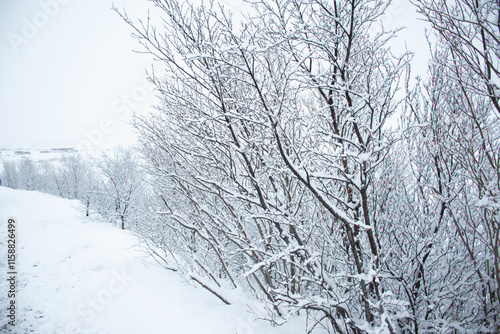 Exploring the Pingvellir National Park, Iceland photo