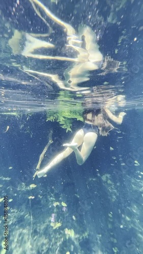 Swimming in Heart Cenote, Yucatán, Mexico , Underwater Adventure and Bathing. Exploring Heart Cenote in Yucatán, Mexico ,  Swim, Dive, and Relax in Crystal Waters