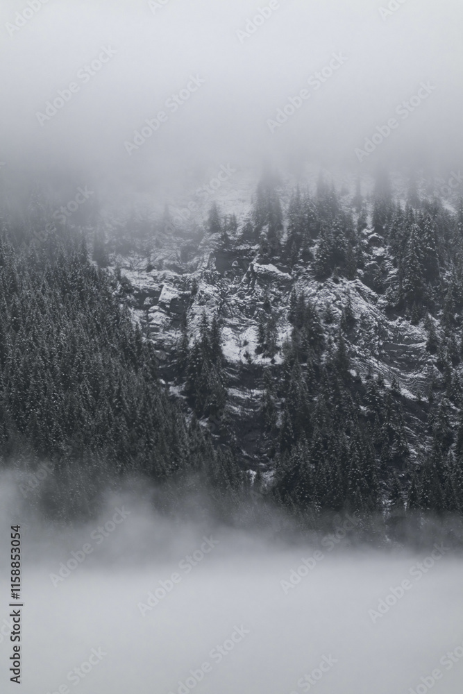 Fototapeta premium Snow covered trees on a mountain with fog in winter. Alberta, Canada