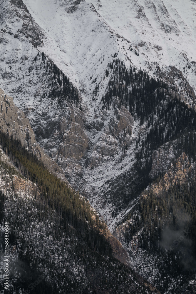 Naklejka premium Snow covered mountains in Alberta, Canada in winter. Nature background