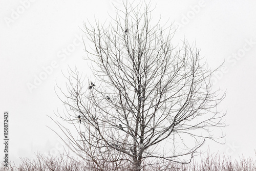 Wallpaper Mural Generated image Torontodigital.ca