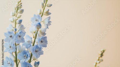 A soft blue delphinium against a warm beige background, close-up shot, Minimalist style