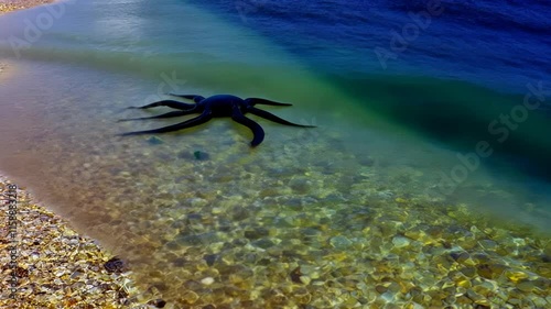 A menacing black octopus makes its way along the coastline, stirring in shallow waters. This unusual sight fascinates beachgoers who observe from a distance. photo