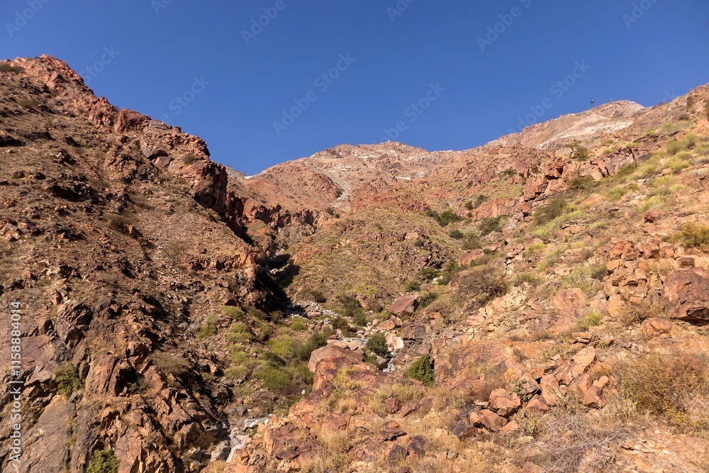 Fototapeta premium View of rocky hills with clear blue sky in Taif city, Saudi Arabia