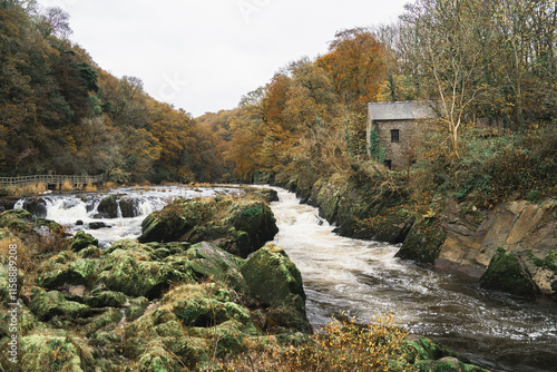 Fototapeta A tranquil riverscape in autumn with moss-covered rocks, a meandering river, and gentle ripples
