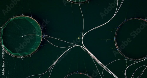 Abstract aerial riser view over pipes and marine pens on salmon aquafarm, Norway photo