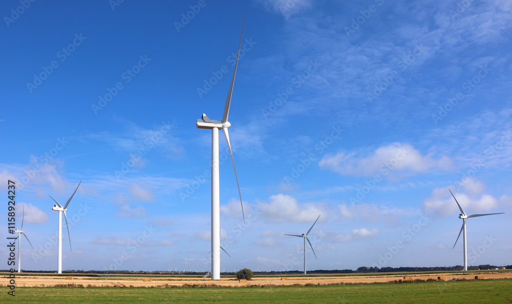 multiple installation of many wind turbines for the production of electricity by exploiting the force of the wind multiple installation of many wind turbines for the production of electricity by exploiting the force of the wind