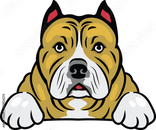 a Bulldog's captivating head peeks in illustration