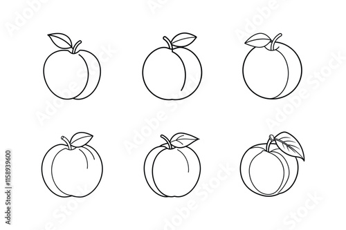 apricot icon line art vector illustration