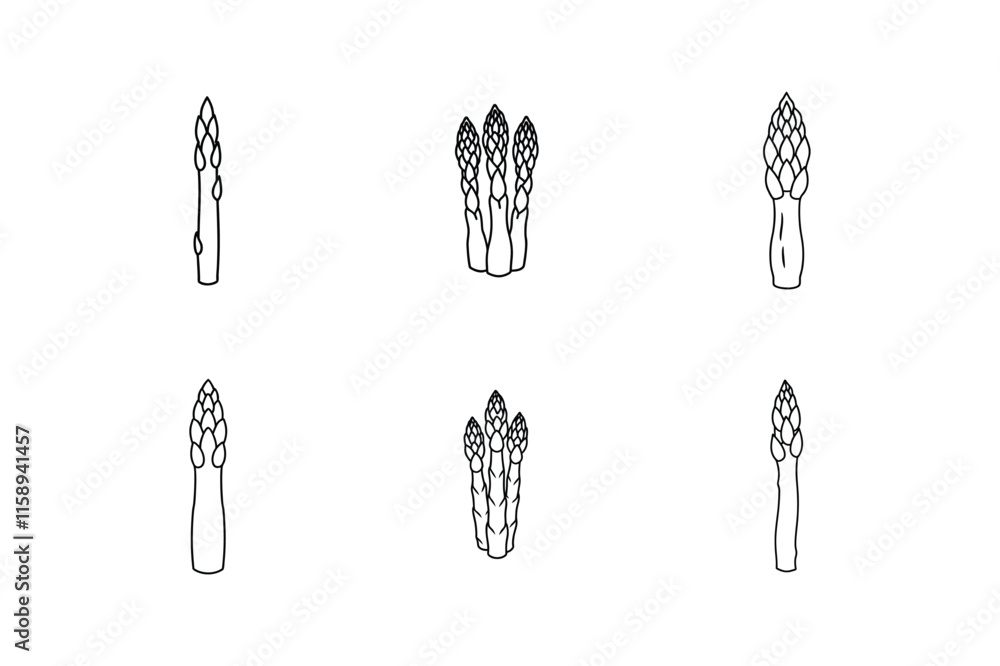 Naklejka premium asparagus icon line art vector illustration