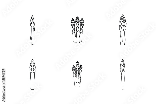 asparagus icon line art vector illustration