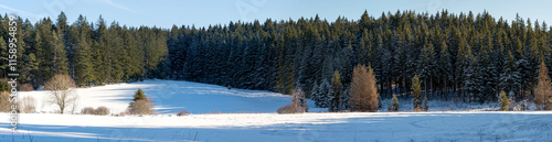 Schwarzwaldpanorama