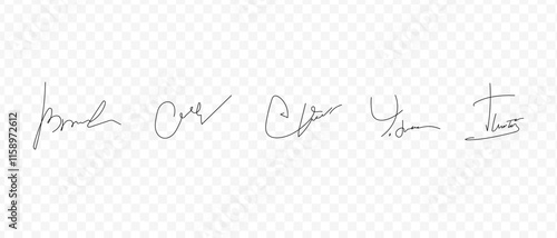 Fake signatures. Fake autograph. Personal signature calligraphy. Contrived signature. Various autographs for documents. Ink autograph	
