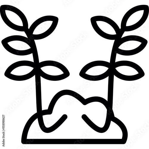 Planted Seed