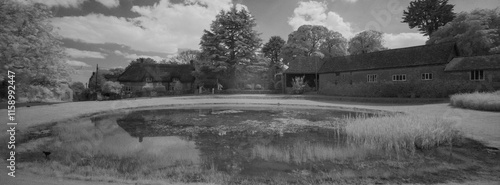 Ashmore village pond, Dorset photo