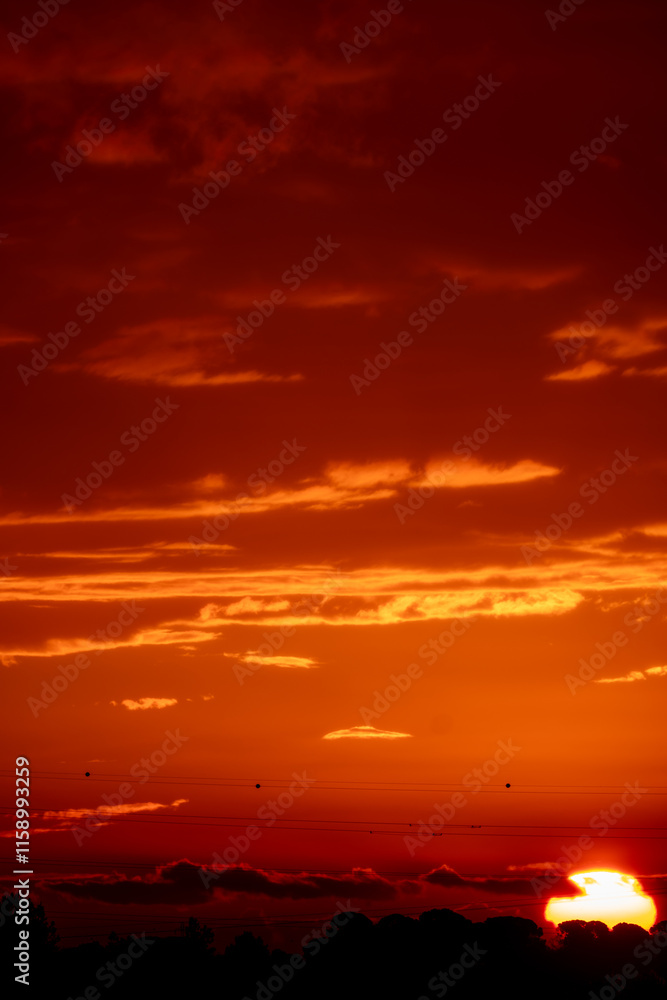 Naklejka premium sunset over the sea