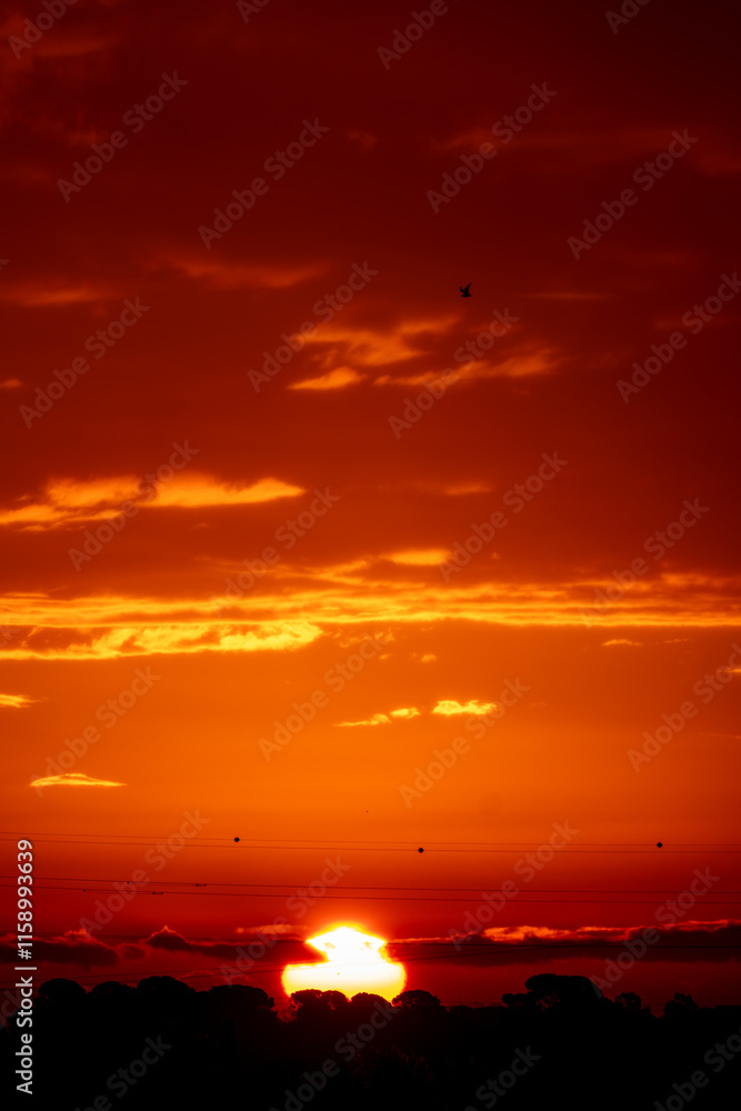 Obraz premium sunset over the sea