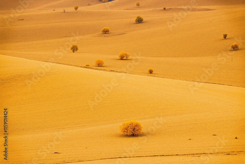 Golden hued autumn landscape with scattered trees photo